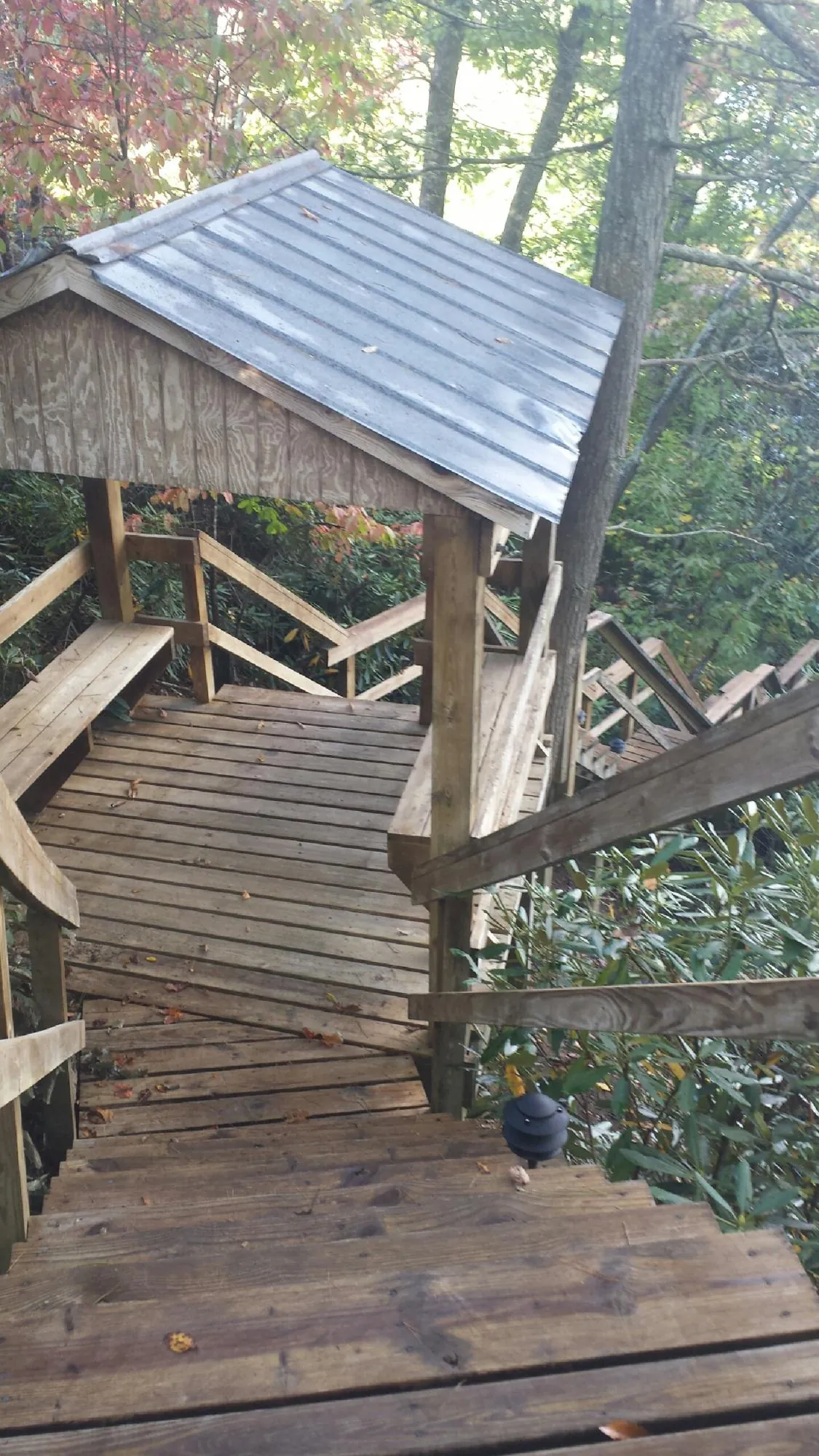 Metal roofed shelter over wooden steps on a wooded walkway — Skylight Repair & Installation work by our crew in Peralta