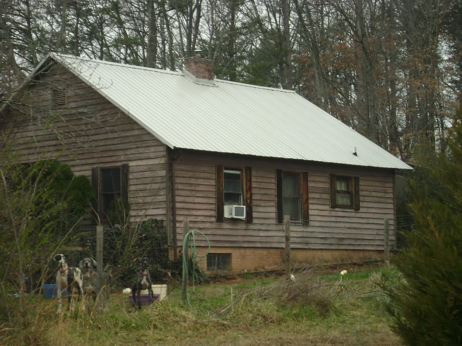 White metal roof on an old wood sided farmhouse, from a Metal Roof Installation job in Peralta